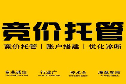 竞价开户策略：成功案例解读